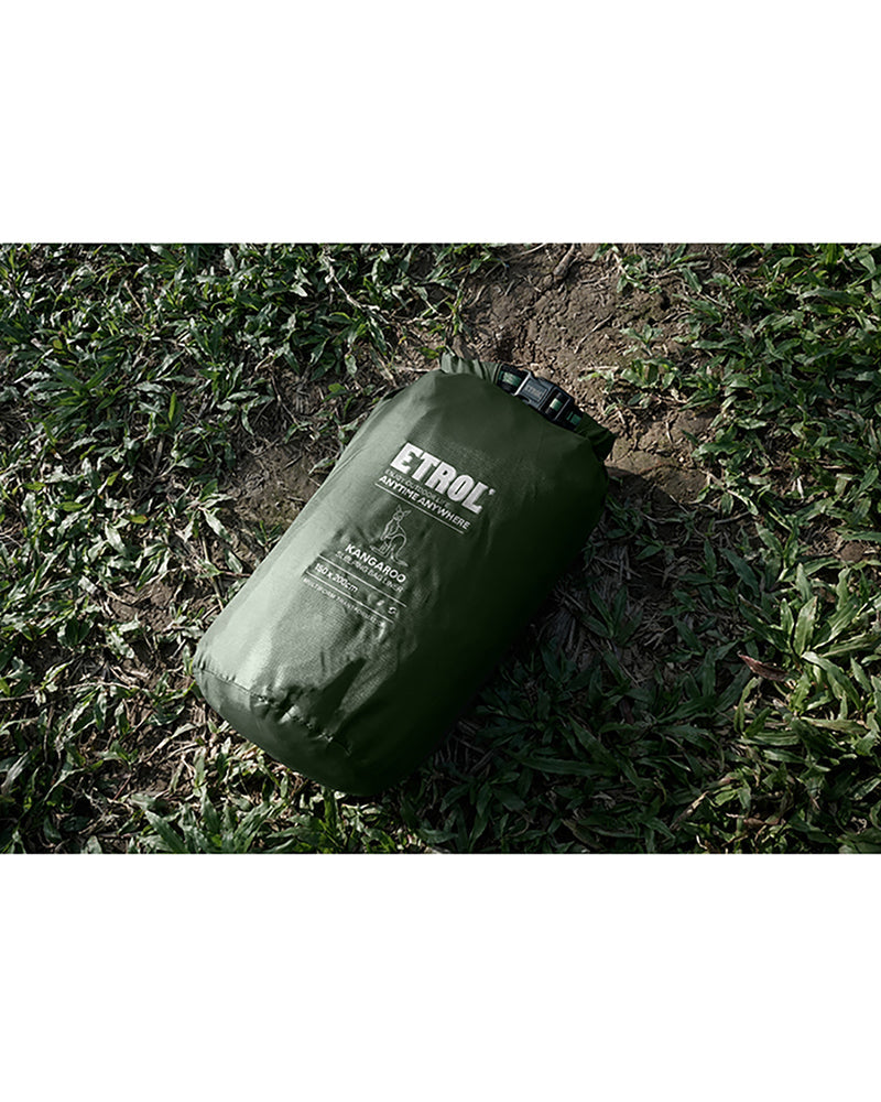 Multifunctional Thermal Cloak